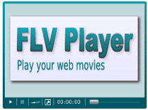 FLV player